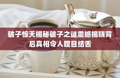 破子惊天揭秘破子之谜震撼揭晓背后真相令人瞠目结舌