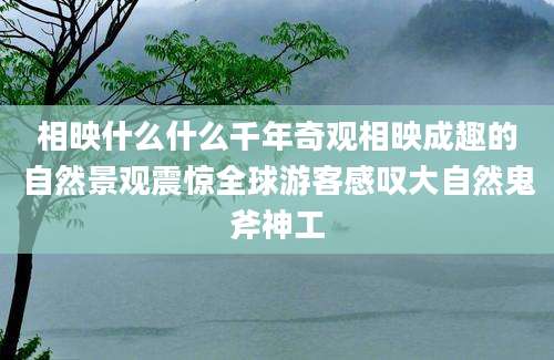 相映什么什么千年奇观相映成趣的自然景观震惊全球游客感叹大自然鬼斧神工