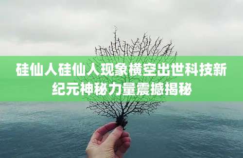 硅仙人硅仙人现象横空出世科技新纪元神秘力量震撼揭秘
