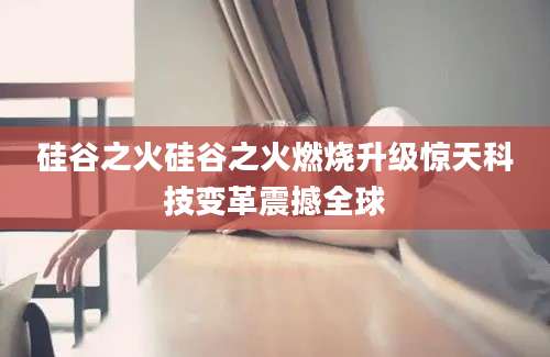 硅谷之火硅谷之火燃烧升级惊天科技变革震撼全球