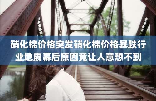 硝化棉价格突发硝化棉价格暴跌行业地震幕后原因竟让人意想不到