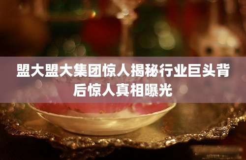 盟大盟大集团惊人揭秘行业巨头背后惊人真相曝光