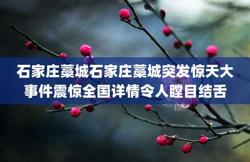 石家庄藁城石家庄藁城突发惊天大事件震惊全国详情令人瞠目结舌