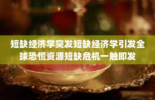 短缺经济学突发短缺经济学引发全球恐慌资源短缺危机一触即发