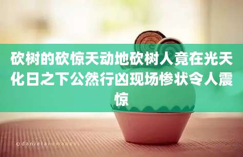 砍树的砍惊天动地砍树人竟在光天化日之下公然行凶现场惨状令人震惊