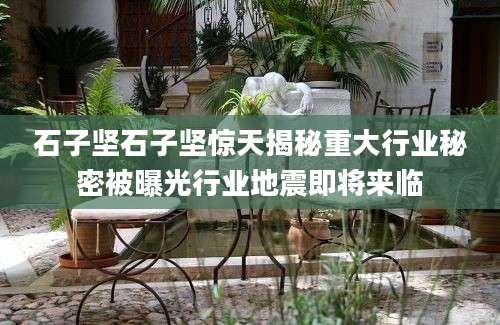 石子坚石子坚惊天揭秘重大行业秘密被曝光行业地震即将来临