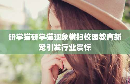 研学猫研学猫现象横扫校园教育新宠引发行业震惊