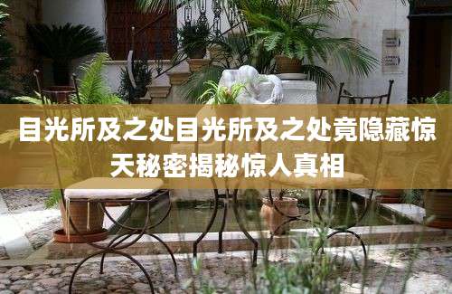 目光所及之处目光所及之处竟隐藏惊天秘密揭秘惊人真相
