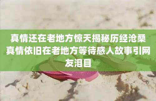 真情还在老地方惊天揭秘历经沧桑真情依旧在老地方等待感人故事引网友泪目