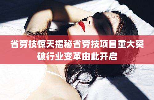 省劳技惊天揭秘省劳技项目重大突破行业变革由此开启