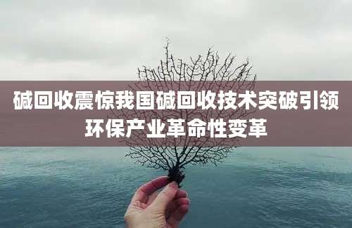 碱回收震惊我国碱回收技术突破引领环保产业革命性变革