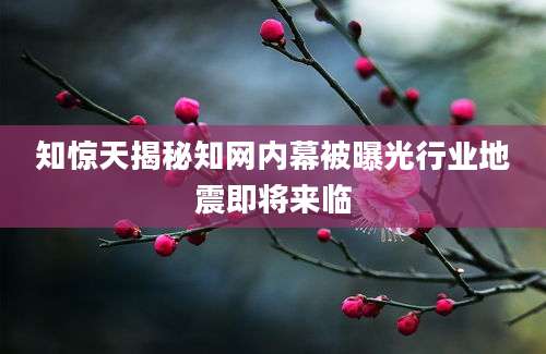 知惊天揭秘知网内幕被曝光行业地震即将来临