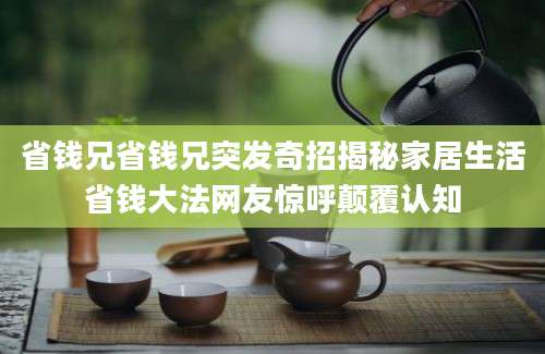 省钱兄省钱兄突发奇招揭秘家居生活省钱大法网友惊呼颠覆认知