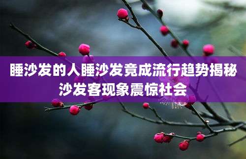 睡沙发的人睡沙发竟成流行趋势揭秘沙发客现象震惊社会