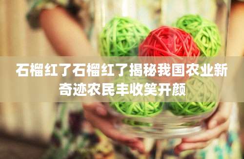石榴红了石榴红了揭秘我国农业新奇迹农民丰收笑开颜