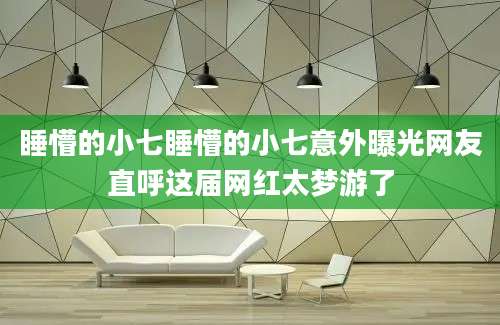 睡懵的小七睡懵的小七意外曝光网友直呼这届网红太梦游了
