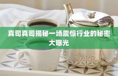 真司真司揭秘一场震惊行业的秘密大曝光