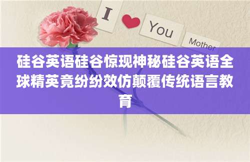硅谷英语硅谷惊现神秘硅谷英语全球精英竟纷纷效仿颠覆传统语言教育