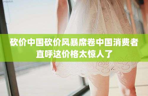 砍价中国砍价风暴席卷中国消费者直呼这价格太惊人了