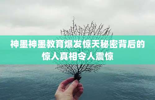 神墨神墨教育爆发惊天秘密背后的惊人真相令人震惊