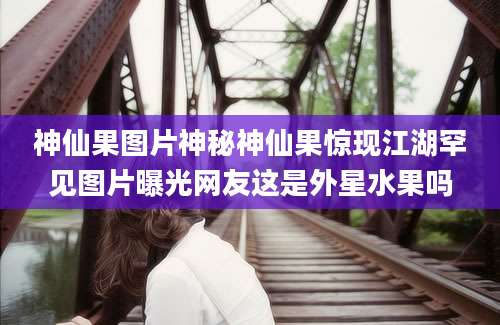 神仙果图片神秘神仙果惊现江湖罕见图片曝光网友这是外星水果吗