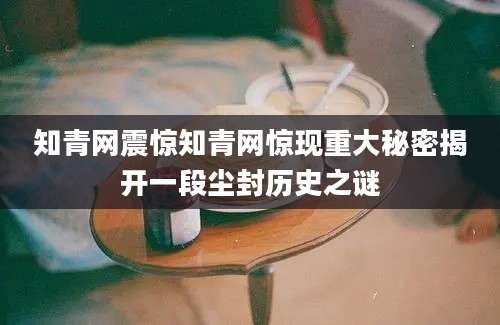 知青网震惊知青网惊现重大秘密揭开一段尘封历史之谜