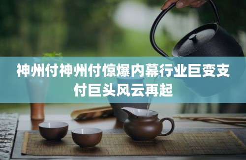 神州付神州付惊爆内幕行业巨变支付巨头风云再起