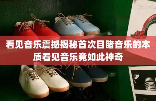 看见音乐震撼揭秘首次目睹音乐的本质看见音乐竟如此神奇
