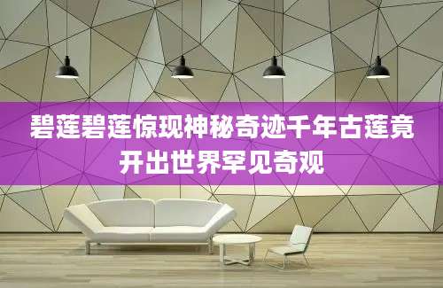 碧莲碧莲惊现神秘奇迹千年古莲竟开出世界罕见奇观