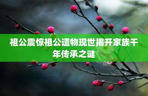 祖公震惊祖公遗物现世揭开家族千年传承之谜