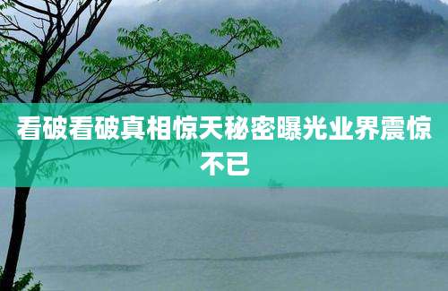 看破看破真相惊天秘密曝光业界震惊不已