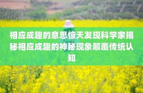 相应成趣的意思惊天发现科学家揭秘相应成趣的神秘现象颠覆传统认知
