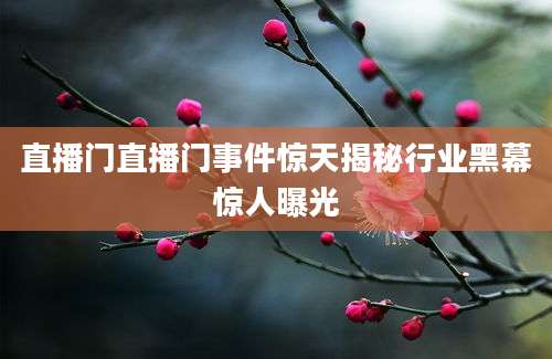 直播门直播门事件惊天揭秘行业黑幕惊人曝光