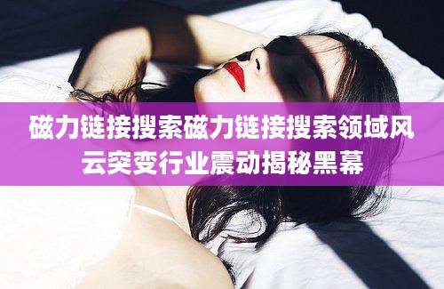 磁力链接搜索磁力链接搜索领域风云突变行业震动揭秘黑幕
