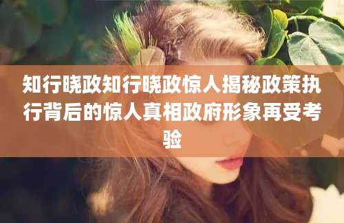 知行晓政知行晓政惊人揭秘政策执行背后的惊人真相政府形象再受考验