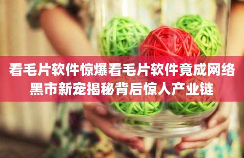 看毛片软件惊爆看毛片软件竟成网络黑市新宠揭秘背后惊人产业链
