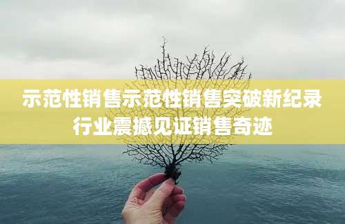 示范性销售示范性销售突破新纪录行业震撼见证销售奇迹