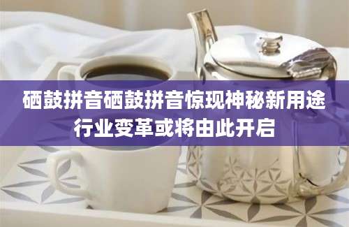 硒鼓拼音硒鼓拼音惊现神秘新用途行业变革或将由此开启