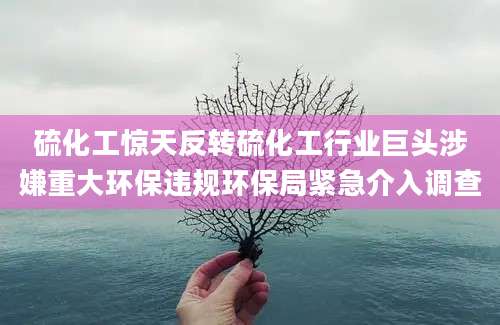 硫化工惊天反转硫化工行业巨头涉嫌重大环保违规环保局紧急介入调查