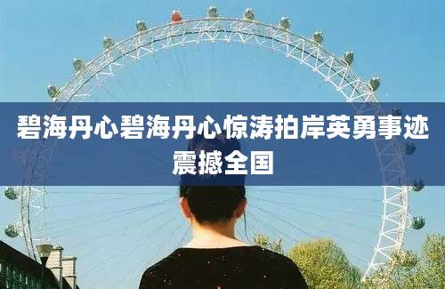 碧海丹心碧海丹心惊涛拍岸英勇事迹震撼全国
