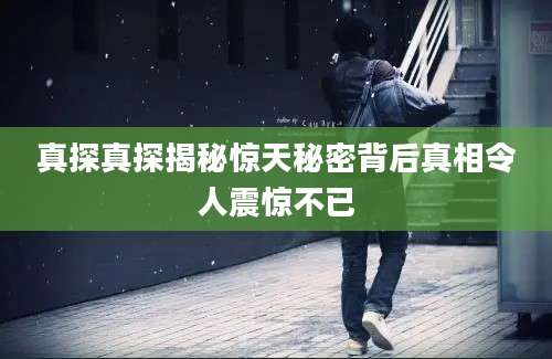 真探真探揭秘惊天秘密背后真相令人震惊不已
