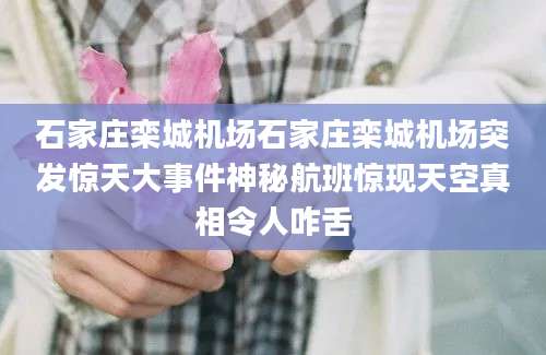 石家庄栾城机场石家庄栾城机场突发惊天大事件神秘航班惊现天空真相令人咋舌