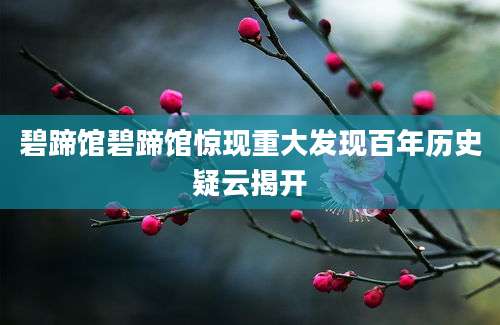 碧蹄馆碧蹄馆惊现重大发现百年历史疑云揭开