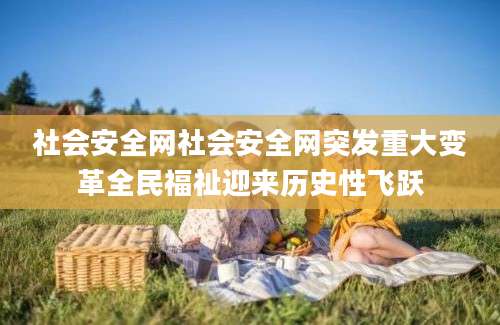 社会安全网社会安全网突发重大变革全民福祉迎来历史性飞跃