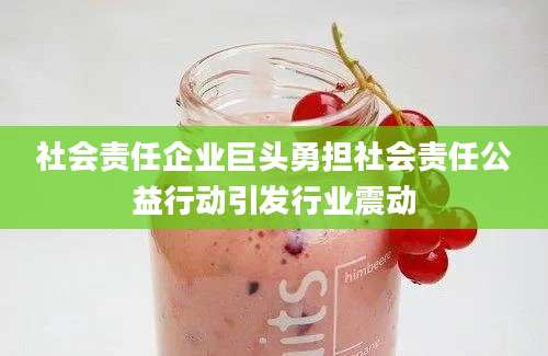 社会责任企业巨头勇担社会责任公益行动引发行业震动