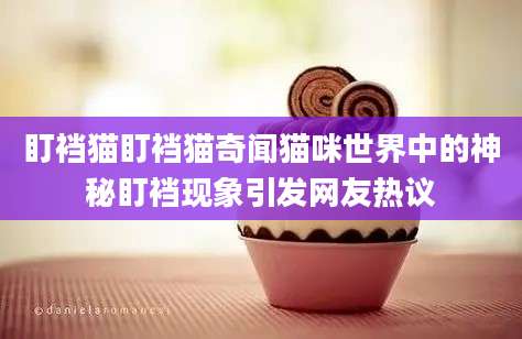 盯裆猫盯裆猫奇闻猫咪世界中的神秘盯裆现象引发网友热议