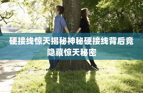 硬接线惊天揭秘神秘硬接线背后竟隐藏惊天秘密