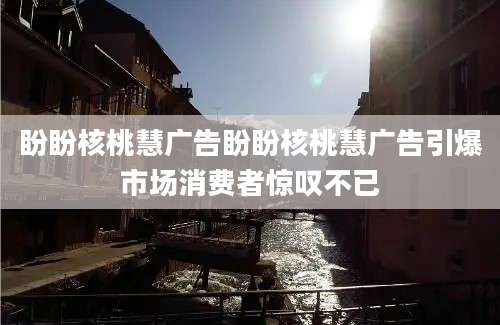 盼盼核桃慧广告盼盼核桃慧广告引爆市场消费者惊叹不已
