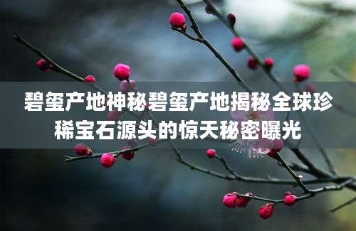 碧玺产地神秘碧玺产地揭秘全球珍稀宝石源头的惊天秘密曝光