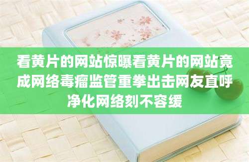看黄片的网站惊曝看黄片的网站竟成网络毒瘤监管重拳出击网友直呼净化网络刻不容缓